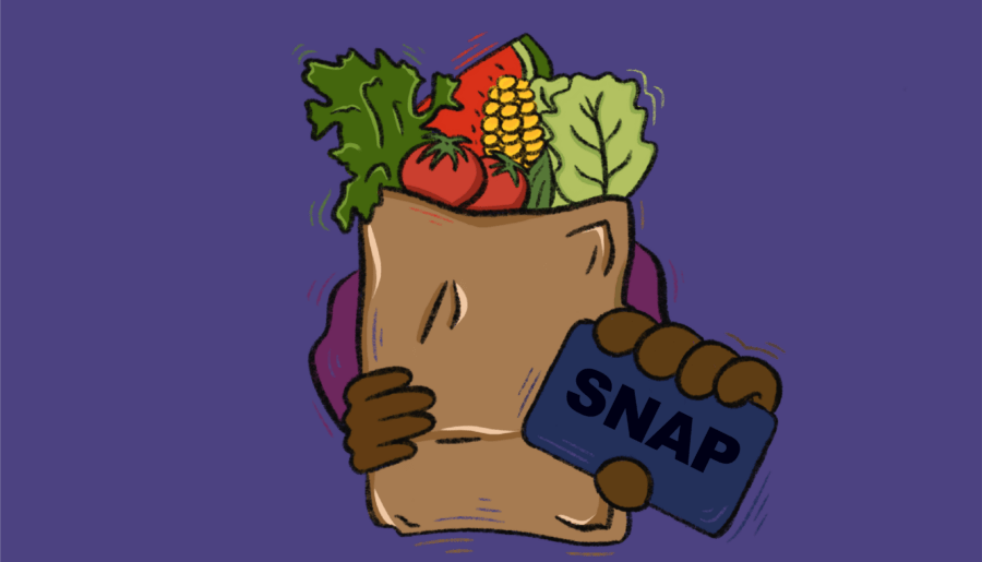 10 tips to save save with your EBT food stamps per month for urban mothers